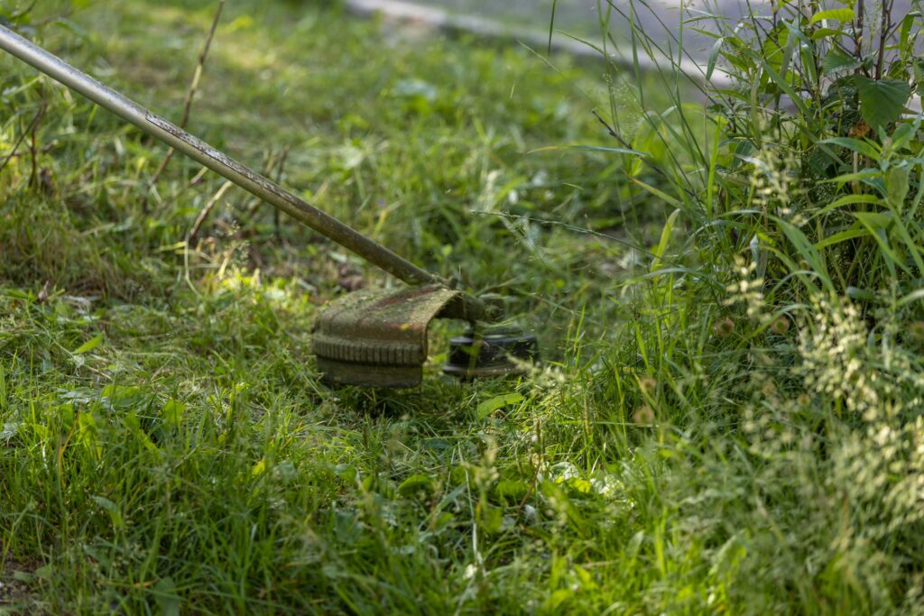 beste grastrimmer