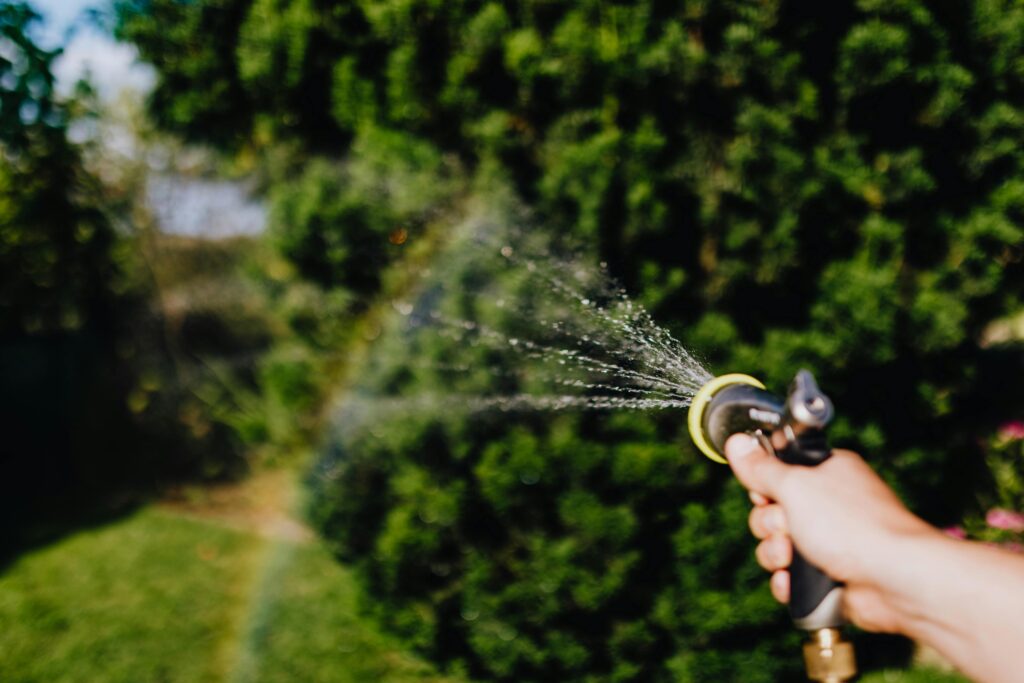 bewatering
