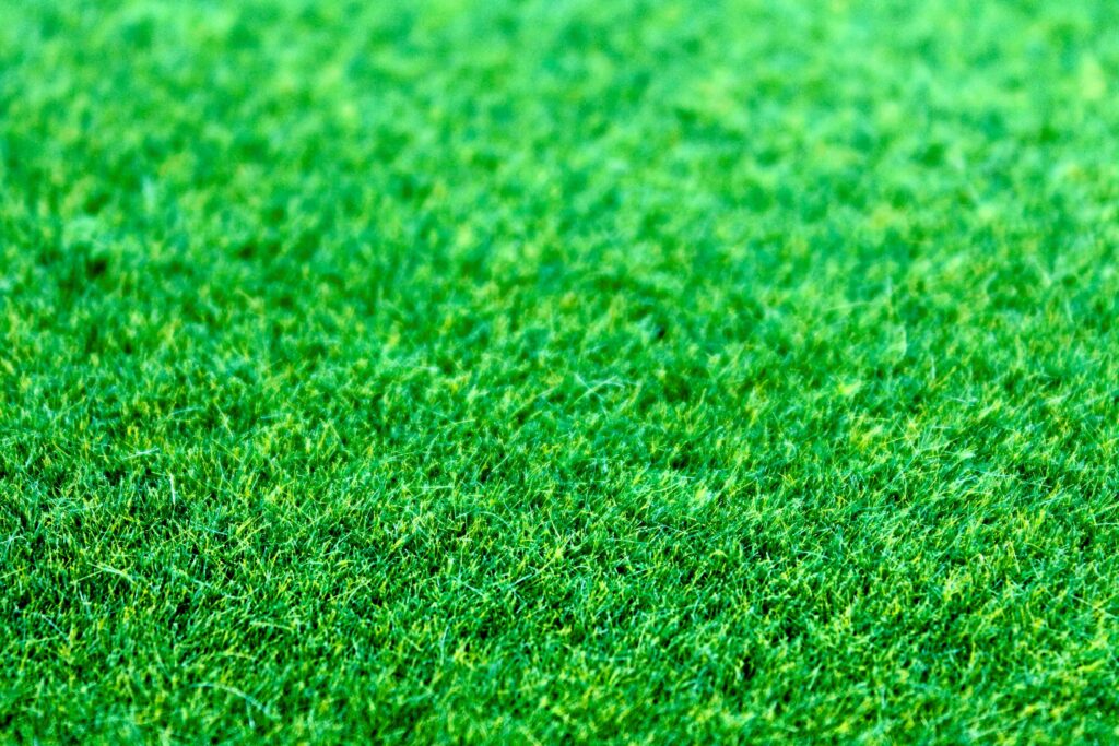 beste grasmaaier kleine tuin